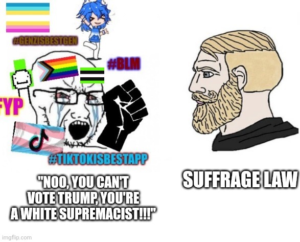 average liberal VS chad (Outdated) | SUFFRAGE LAW; "NOO, YOU CAN'T VOTE TRUMP, YOU'RE A WHITE SUPREMACIST!!!" | image tagged in average liberal vs chad outdated | made w/ Imgflip meme maker