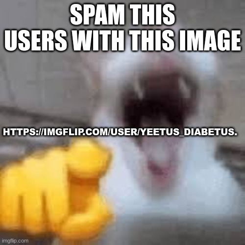 Laughing cat GOOOOO | SPAM THIS USERS WITH THIS IMAGE; HTTPS://IMGFLIP.COM/USER/YEETUS_DIABETUS. | image tagged in goooooooooooooooooooo | made w/ Imgflip meme maker