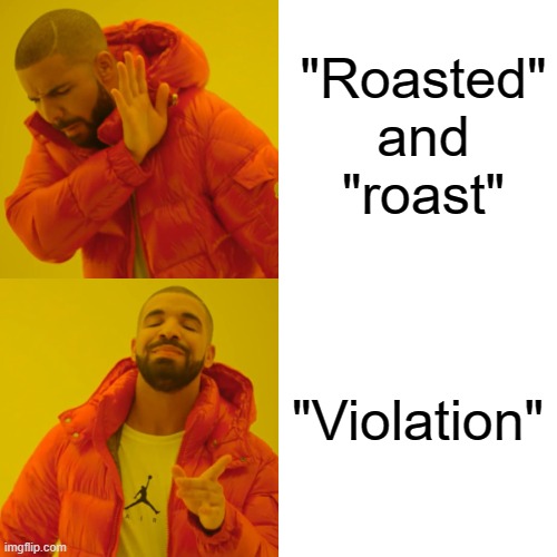 My bestie's vocab | "Roasted" and "roast"; "Violation" | image tagged in memes,drake hotline bling | made w/ Imgflip meme maker