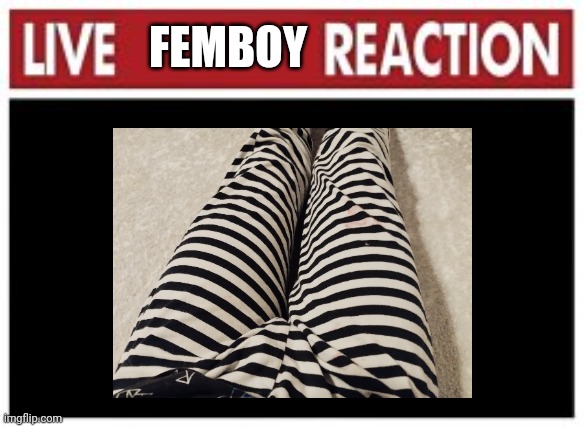 Live BLANK reaction | FEMBOY | image tagged in live blank reaction | made w/ Imgflip meme maker