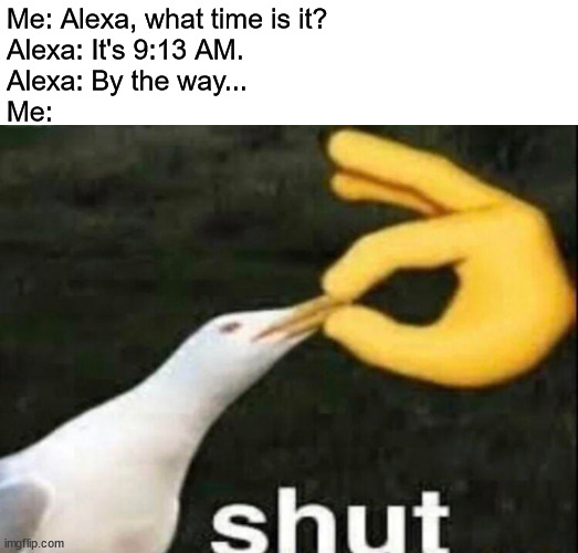 No one cares | Me: Alexa, what time is it?
Alexa: It's 9:13 AM. 
Alexa: By the way...
Me: | image tagged in white header,shut,alexa,amazon | made w/ Imgflip meme maker