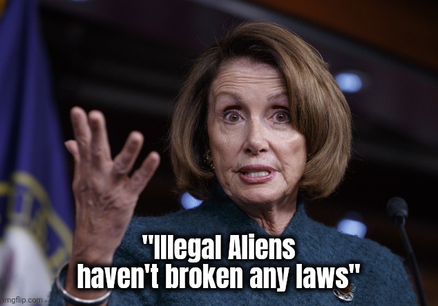 Good old Nancy Pelosi | "Illegal Aliens haven't broken any laws" | image tagged in good old nancy pelosi | made w/ Imgflip meme maker