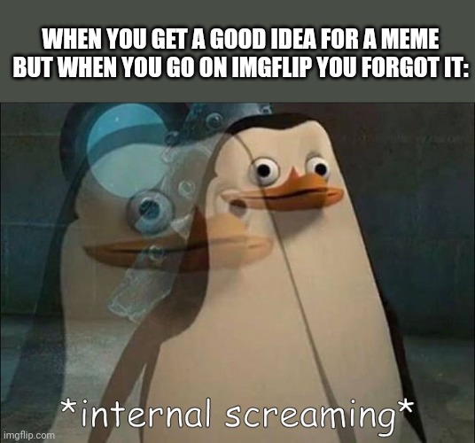*internal screaming* | WHEN YOU GET A GOOD IDEA FOR A MEME BUT WHEN YOU GO ON IMGFLIP YOU FORGOT IT: | image tagged in private internal screaming,aaaaaaaaaaaaaaaaaaaaaaaaaaa,internal screaming | made w/ Imgflip meme maker