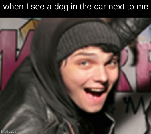 puppy! | when I see a dog in the car next to me | image tagged in gerard way,dog,excited,suprised,oh my god i'm a child,oh wow are you actually reading these tags | made w/ Imgflip meme maker