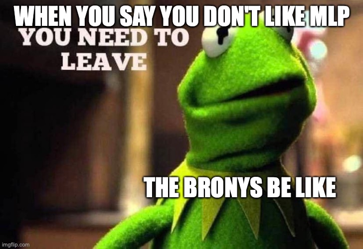 some bronys are bad , some are good | WHEN YOU SAY YOU DON'T LIKE MLP; THE BRONYS BE LIKE | image tagged in kermit you need to leave | made w/ Imgflip meme maker