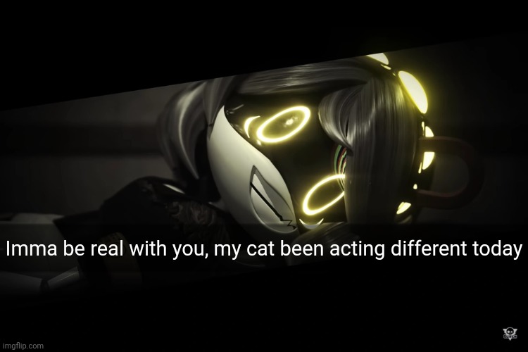 Imma be real with you, my cat been acting different today | made w/ Imgflip meme maker