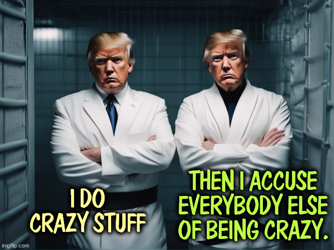 For Trump, accusation is a form of confession. | I DO CRAZY STUFF; THEN I ACCUSE EVERYBODY ELSE OF BEING CRAZY. | image tagged in trump,accused,confession,crazy,mental illness,senile | made w/ Imgflip meme maker