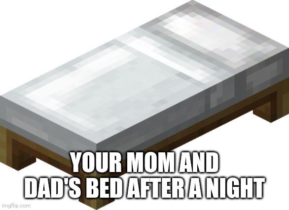 Minecraft bed | YOUR MOM AND DAD'S BED AFTER A NIGHT | image tagged in minecraft bed | made w/ Imgflip meme maker