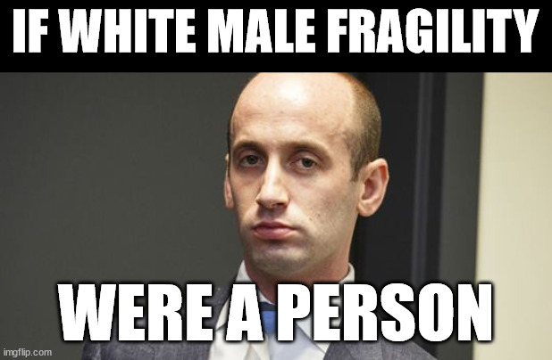 Steven Miller | IF WHITE MALE FRAGILITY; WERE A PERSON | image tagged in steven miller | made w/ Imgflip meme maker