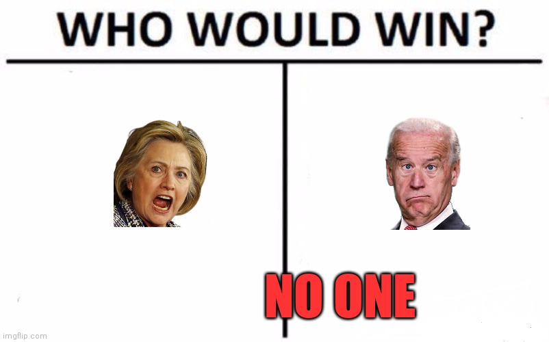 Who would win | NO ONE | image tagged in memes,who would win,funny memes | made w/ Imgflip meme maker