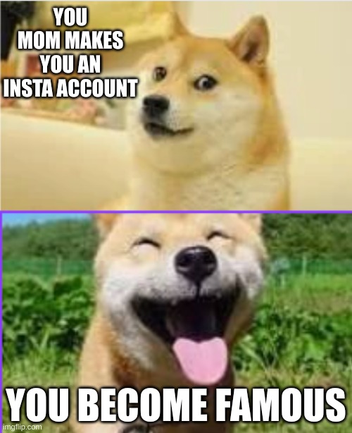 doge backstory | YOU MOM MAKES YOU AN INSTA ACCOUNT; YOU BECOME FAMOUS | image tagged in doge | made w/ Imgflip meme maker