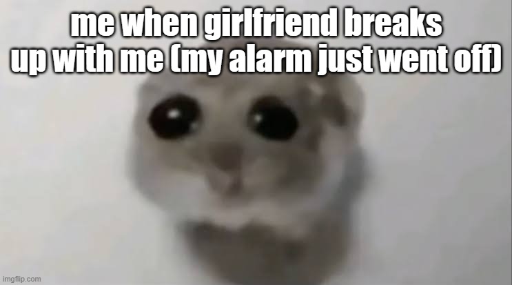 Sad Hamster | me when girlfriend breaks up with me (my alarm just went off) | image tagged in sad hamster | made w/ Imgflip meme maker