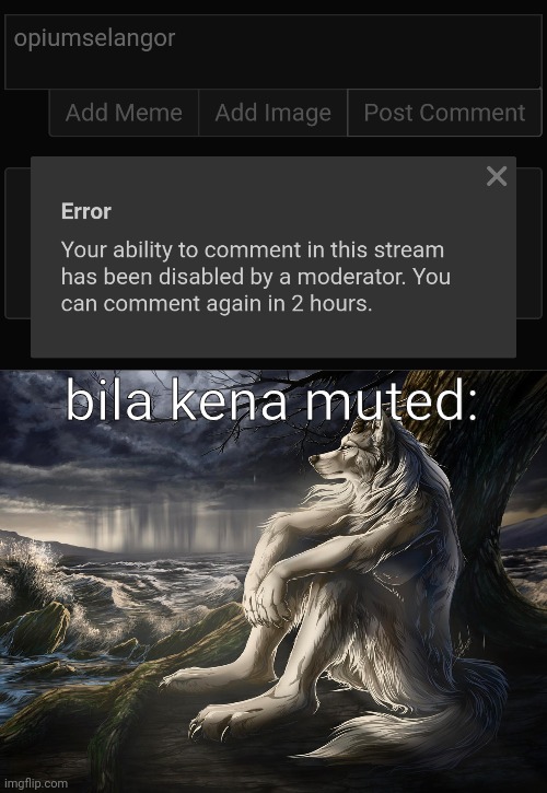 bila kena muted: | image tagged in sitting wolf | made w/ Imgflip meme maker