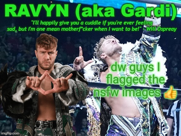 Please, please, PLEASE keep MSMG clean, bluds | dw guys I flagged the nsfw images 👍 | image tagged in ravyn's/gardi's will ospreay announce template | made w/ Imgflip meme maker