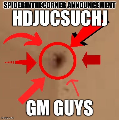 spiderinthecorner announcement | HDJUCSUCHJ; GM GUYS | image tagged in spiderinthecorner announcement | made w/ Imgflip meme maker