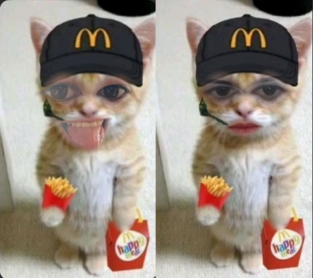 High Quality Silly vs Serious McDonalds Cat Blank Meme Template