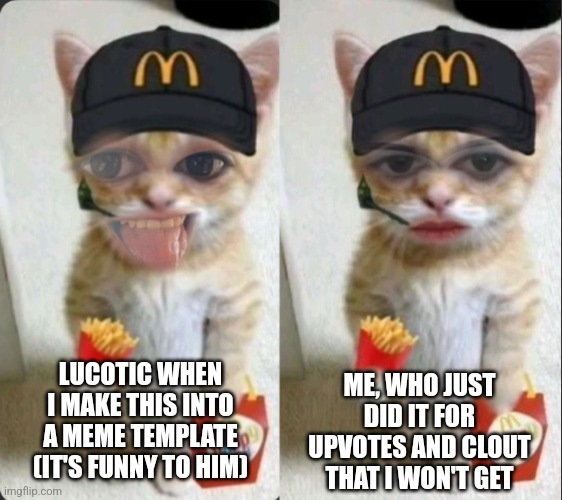 Was bored and had these pics so made this | ME, WHO JUST DID IT FOR UPVOTES AND CLOUT THAT I WON'T GET; LUCOTIC WHEN I MAKE THIS INTO A MEME TEMPLATE (IT'S FUNNY TO HIM) | image tagged in silly vs serious mcdonalds cat | made w/ Imgflip meme maker