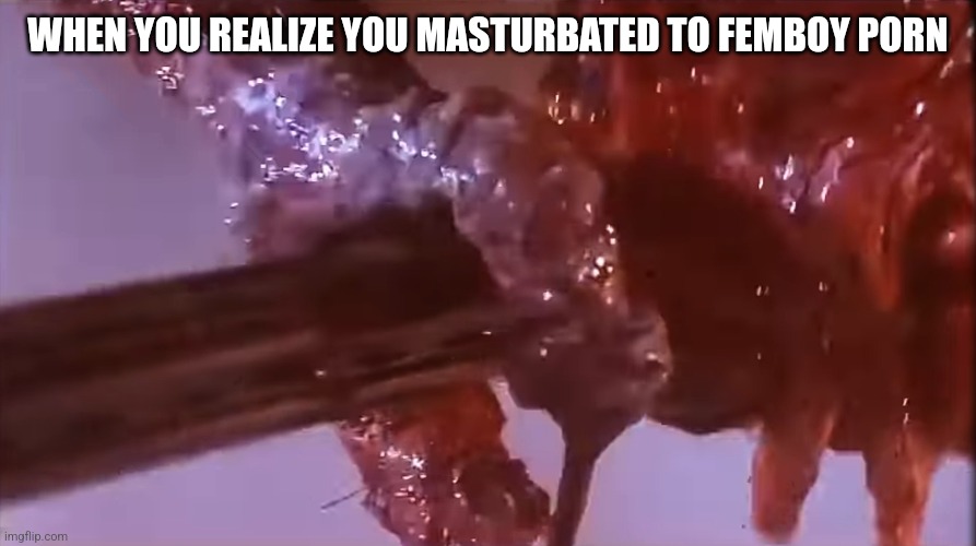 :/ | WHEN YOU REALIZE YOU MASTURBATED TO FEMBOY PORN | image tagged in brundlefly,porn,rule 34,femboy,guns,memes | made w/ Imgflip meme maker