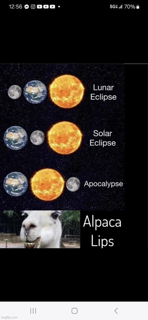 This is pretty funny | image tagged in lol,alpaca | made w/ Imgflip meme maker