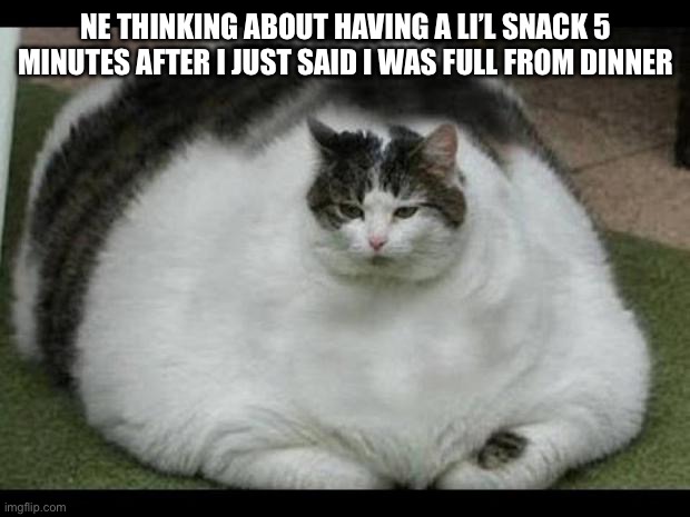 Anyone else? | NE THINKING ABOUT HAVING A LI’L SNACK 5 MINUTES AFTER I JUST SAID I WAS FULL FROM DINNER | image tagged in fat cat 2 | made w/ Imgflip meme maker