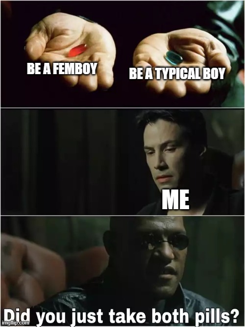 Did you just take both pills? | BE A FEMBOY; BE A TYPICAL BOY; ME | image tagged in did you just take both pills | made w/ Imgflip meme maker