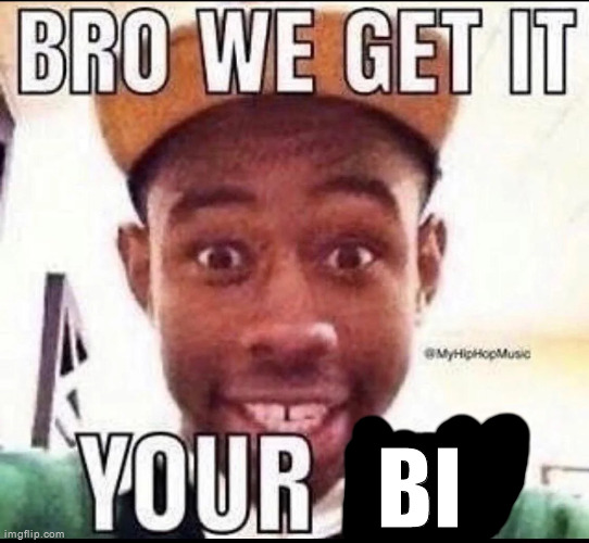 BRO WE GET IT YOU'RE GAY | BI | image tagged in bro we get it you're gay | made w/ Imgflip meme maker