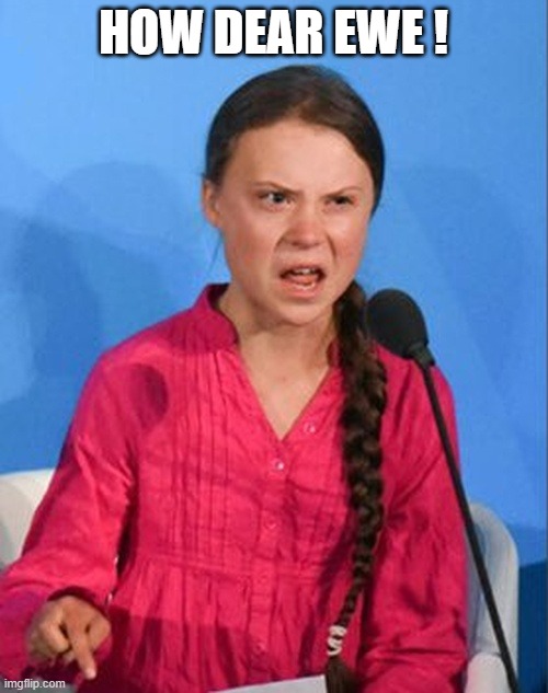 Greta Thunberg how dare you | HOW DEAR EWE ! | image tagged in greta thunberg how dare you | made w/ Imgflip meme maker