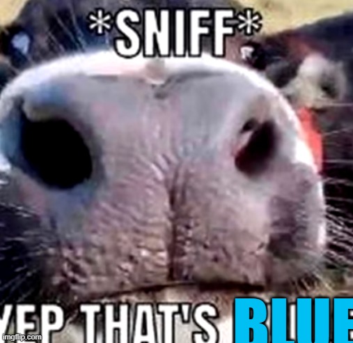 % | BLUE | made w/ Imgflip meme maker