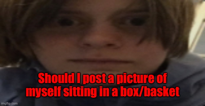Random shi | Should I post a picture of myself sitting in a box/basket | image tagged in darthswede silly serious face | made w/ Imgflip meme maker