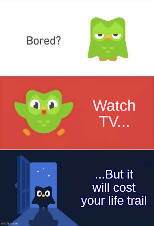 duoligo suggested activity | Watch TV... ...But it will cost your life trail | image tagged in duolingo bored 3-panel,duolingo | made w/ Imgflip meme maker