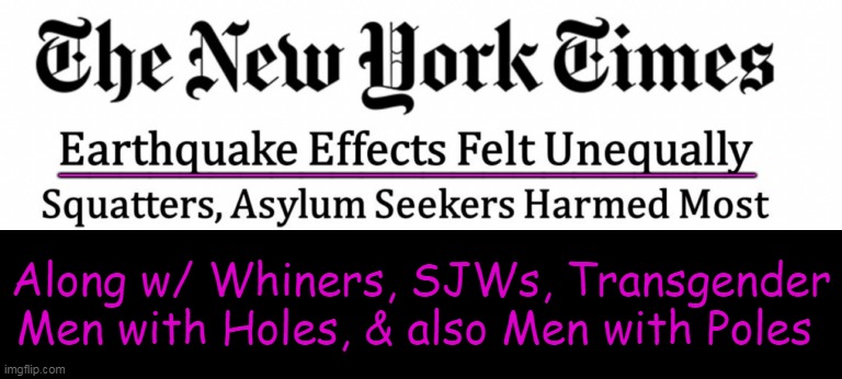 DEI hit hardest | _______________________; Along w/ Whiners, SJWs, Transgender
Men with Holes, & also Men with Poles | image tagged in political humor,new york times,our times,complainers,sjws,karma's a bitch | made w/ Imgflip meme maker