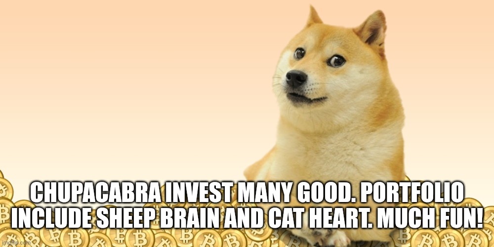 Doge Coin | CHUPACABRA INVEST MANY GOOD. PORTFOLIO INCLUDE SHEEP BRAIN AND CAT HEART. MUCH FUN! | image tagged in doge coin | made w/ Imgflip meme maker