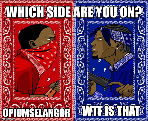 WHICH SIDE ARE YOU ON? | OPIUMSELANGOR; WTF IS THAT | image tagged in which side are you on | made w/ Imgflip meme maker