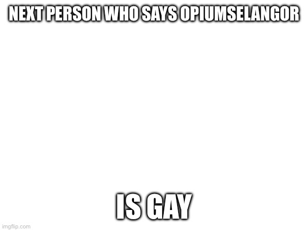 Hehehe | NEXT PERSON WHO SAYS OPIUMSELANGOR; IS GAY | made w/ Imgflip meme maker