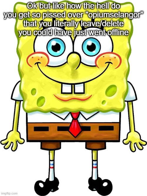 I'm Spongebob! | Ok but like how the hell do you get so pissed over "opiumselangor" that you literally leave/delete you could have just went offline | image tagged in i'm spongebob | made w/ Imgflip meme maker