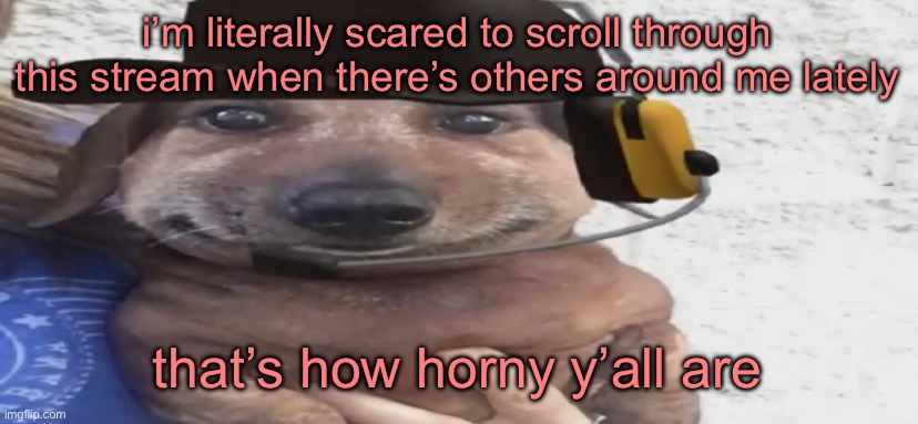 chucklenuts | i’m literally scared to scroll through this stream when there’s others around me lately; that’s how horny y’all are | image tagged in chucklenuts | made w/ Imgflip meme maker