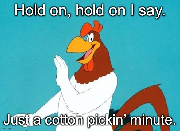 Is Foghorn Leghorn racist? Or just outdated? | Hold on, hold on I say. Just a cotton pickin’ minute. | image tagged in foghorn leghorn | made w/ Imgflip meme maker