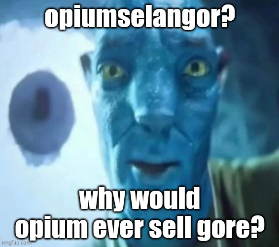 who is this mf | opiumselangor? why would opium ever sell gore? | image tagged in avatar guy | made w/ Imgflip meme maker