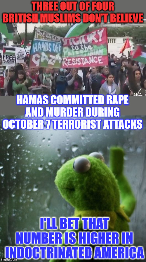 I'll bet indoctrinated... um "educated" America numbers will be higher | THREE OUT OF FOUR BRITISH MUSLIMS DON’T BELIEVE; HAMAS COMMITTED RAPE AND MURDER DURING OCTOBER 7 TERRORIST ATTACKS; I'LL BET THAT NUMBER IS HIGHER IN INDOCTRINATED AMERICA | image tagged in how dare isreal defend itself,hamas terrorists,msm sheep,believe what they tell you to believe | made w/ Imgflip meme maker