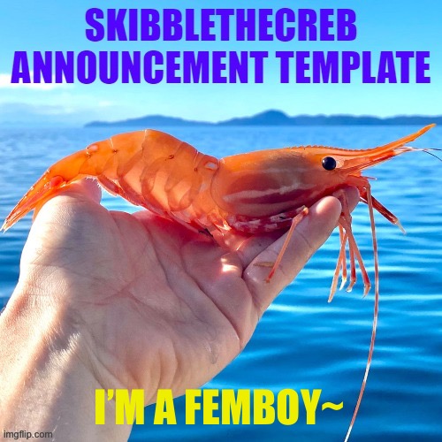 skibblethecreb announcement template | I’M A FEMBOY~ | image tagged in skibblethecreb announcement template | made w/ Imgflip meme maker