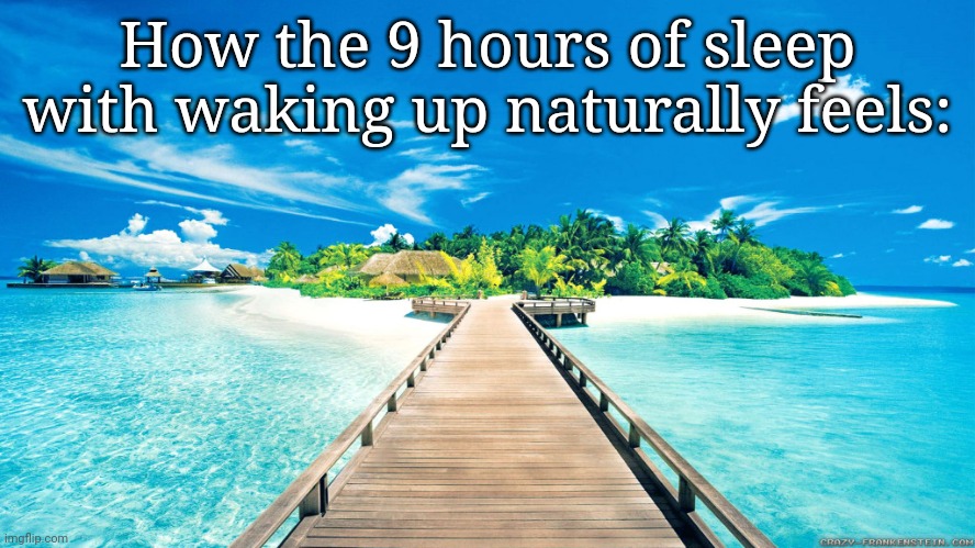 paradise | How the 9 hours of sleep with waking up naturally feels: | image tagged in paradise,frost | made w/ Imgflip meme maker