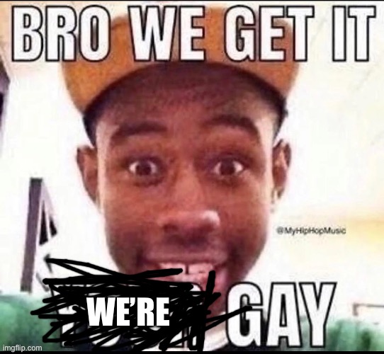 bro we get it, your gay | WE’RE | image tagged in bro we get it your gay | made w/ Imgflip meme maker