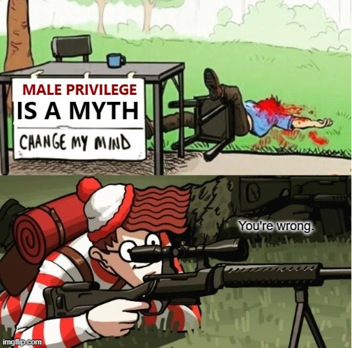 WHY?! | IS A MYTH; MALE PRIVILEGE; You're wrong. | image tagged in waldo shoots the change my mind guy | made w/ Imgflip meme maker