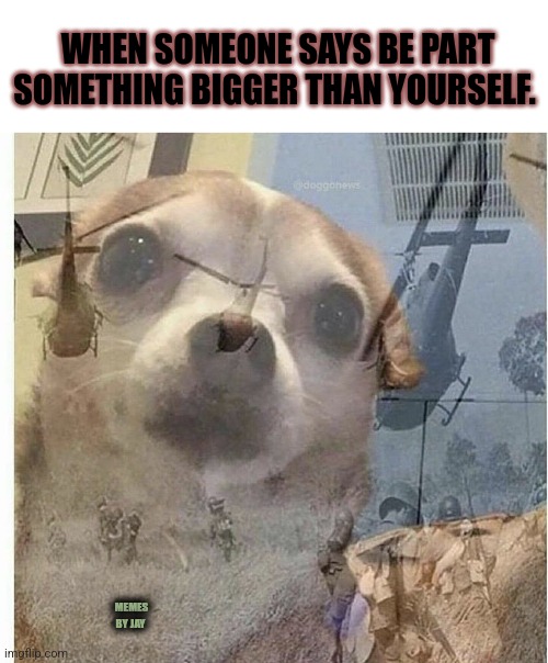 Oh Biy! | WHEN SOMEONE SAYS BE PART SOMETHING BIGGER THAN YOURSELF. MEMES BY JAY | image tagged in ptsd chihuahua,work life,mind control,management | made w/ Imgflip meme maker