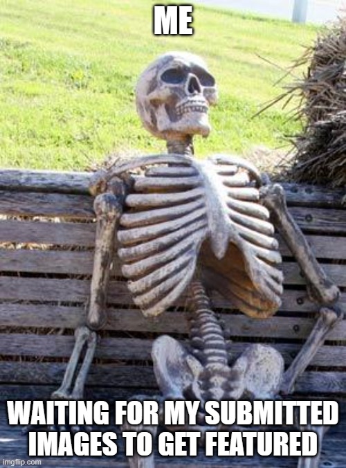 Waiting Skeleton | ME; WAITING FOR MY SUBMITTED IMAGES TO GET FEATURED | image tagged in memes,waiting skeleton | made w/ Imgflip meme maker