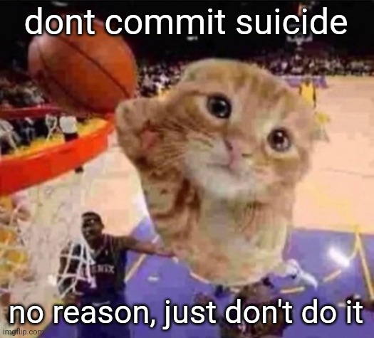 . | dont commit suicide; no reason, just don't do it | image tagged in ballin cat | made w/ Imgflip meme maker