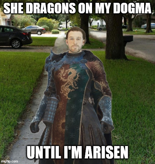 There's so many ladders in Dragon's Dogma 2 | SHE DRAGONS ON MY DOGMA; UNTIL I'M ARISEN | image tagged in meme,dumb,dragon'sdogma2 | made w/ Imgflip meme maker