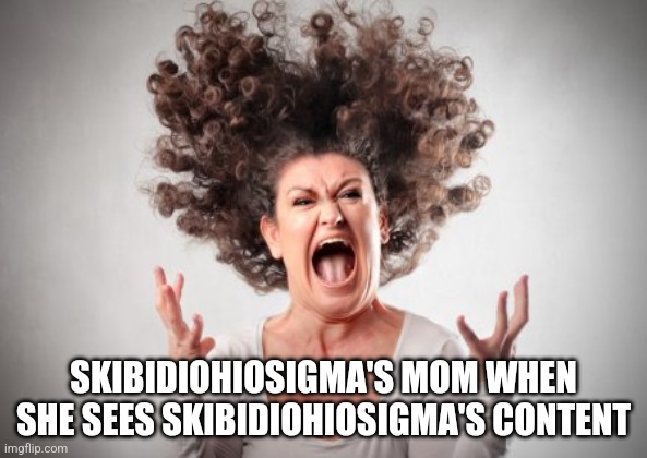 Screaming woman | SKIBIDIOHIOSIGMA'S MOM WHEN SHE SEES SKIBIDIOHIOSIGMA'S CONTENT | image tagged in screaming woman | made w/ Imgflip meme maker