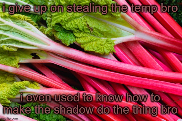 :cri: | i give up on stealing the temp bro; i even used to know how to make the shadow do the thing bro | image tagged in rhubarb | made w/ Imgflip meme maker