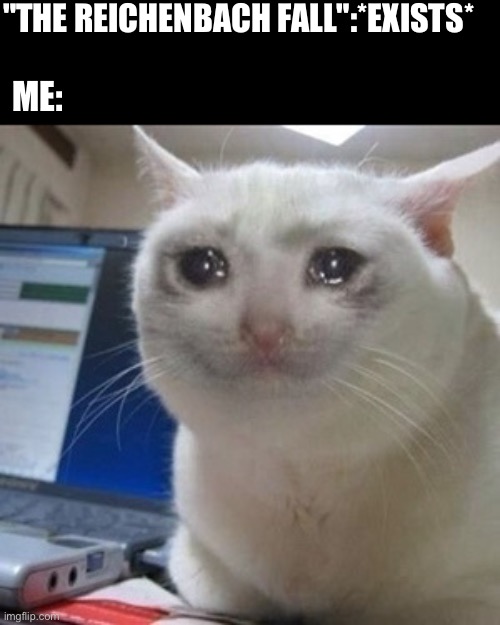 Crying cat | "THE REICHENBACH FALL":*EXISTS*; ME: | image tagged in crying cat | made w/ Imgflip meme maker